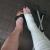 Birkenstocklover