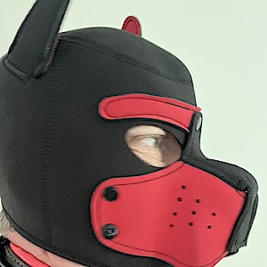Straydog-ffm