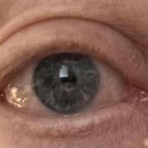Der_versuch73