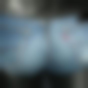 Elvisoffen