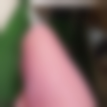 Sophie_sl
