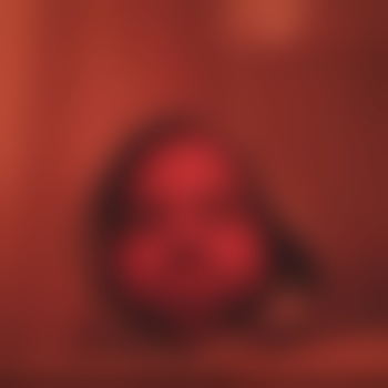 Austi0o