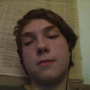 Behaartemuschificker