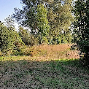 Feldweg zwischen Allstedt und Katharinenrieth