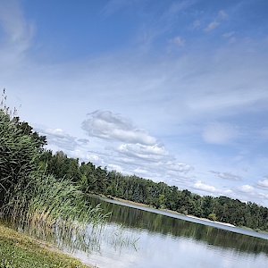 Branitzer See