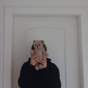 MitTeddy