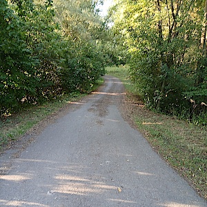 Feldweg zwischen Allstedt und Katharinenrieth