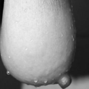 sandra_1965