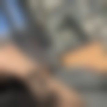 9inchesdih