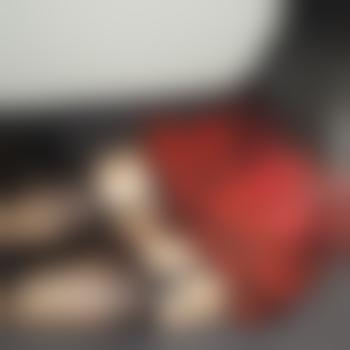 SissySusi