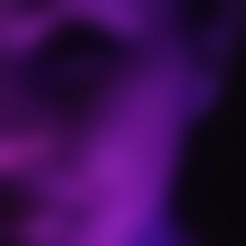 shark2023