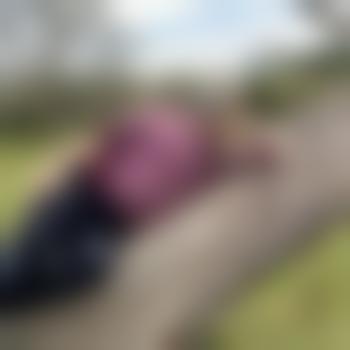 dev83sub
