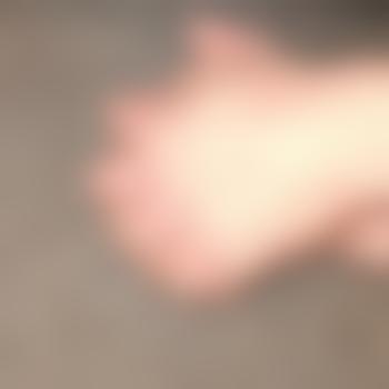 wissensgeister