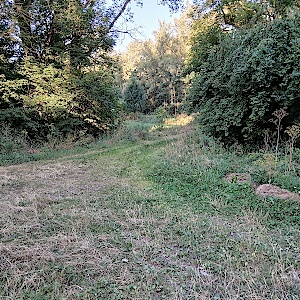 Feldweg zwischen Allstedt und Katharinenrieth