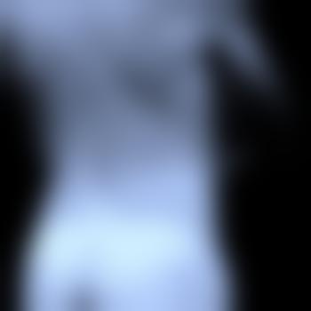 bull_seven