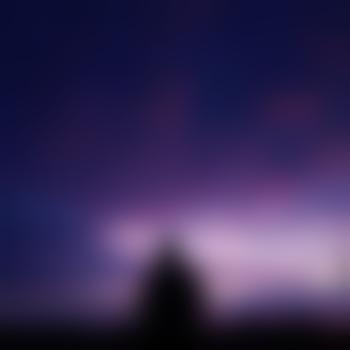 Avi84