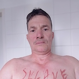 Stute1