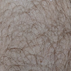 Absätze