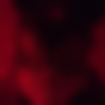 Flirty-Univserse8183