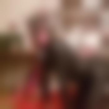 PervTransWindDogSkla