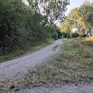 Feldweg zwischen Allstedt und Katharinenrieth