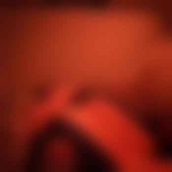 Velvet_Pair