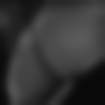 Crucifer
