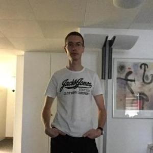 domianwt