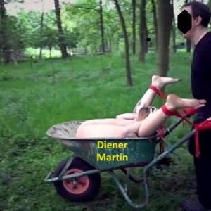 DienerMartin