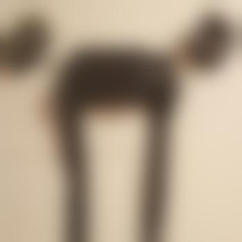 sven001