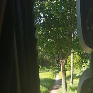 Autbahnparkplatz A661 Buchrain