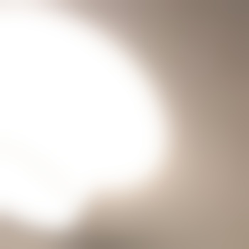 luzern58742
