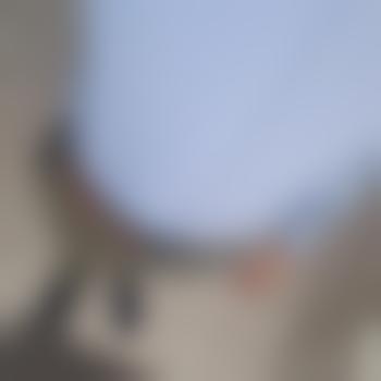 DomWithADadJoke