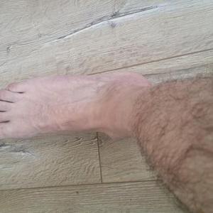suche_dominanz