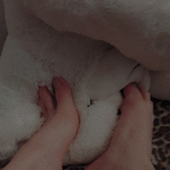 barefootabortion
