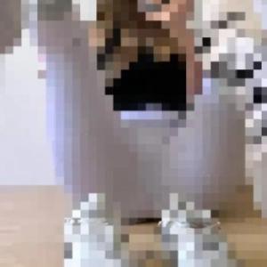 Anna23