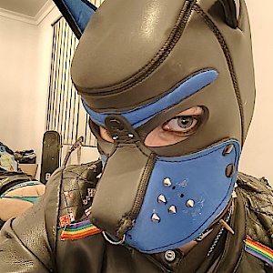 Punkpup_hunter
