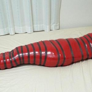 Mummification & Sensory Deprivation