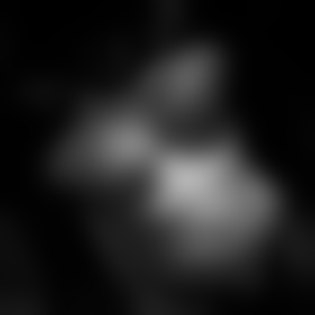 TheDeer03