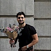 Anis-