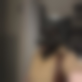 Dusty_theBear