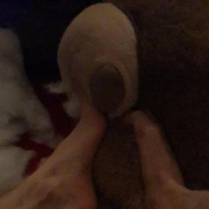 barefootabortion