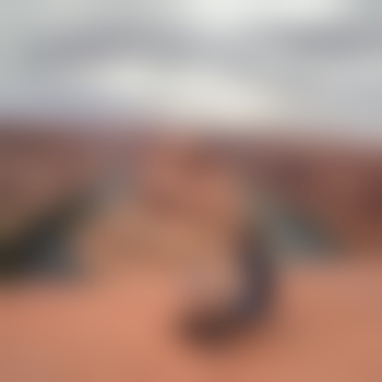 icantseeurlikes