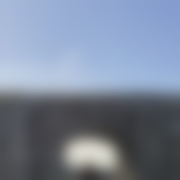 Dom_sucht__Sub