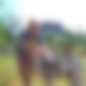 kittenkittensoybeans