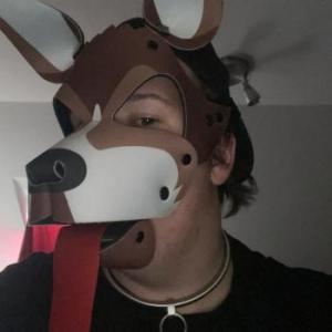 Rocky_Pup04