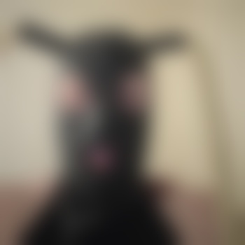 Lizzy_Bunny