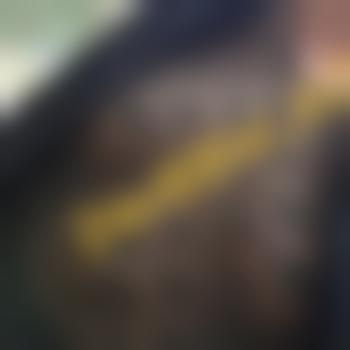 DevBBW_AC
