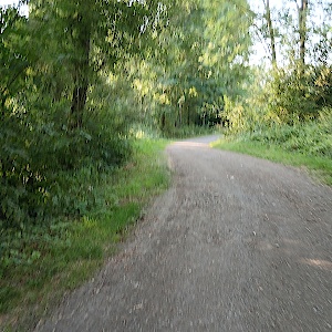 Feldweg zwischen Allstedt und Katharinenrieth