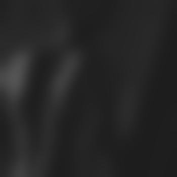 fullonbigDenergy